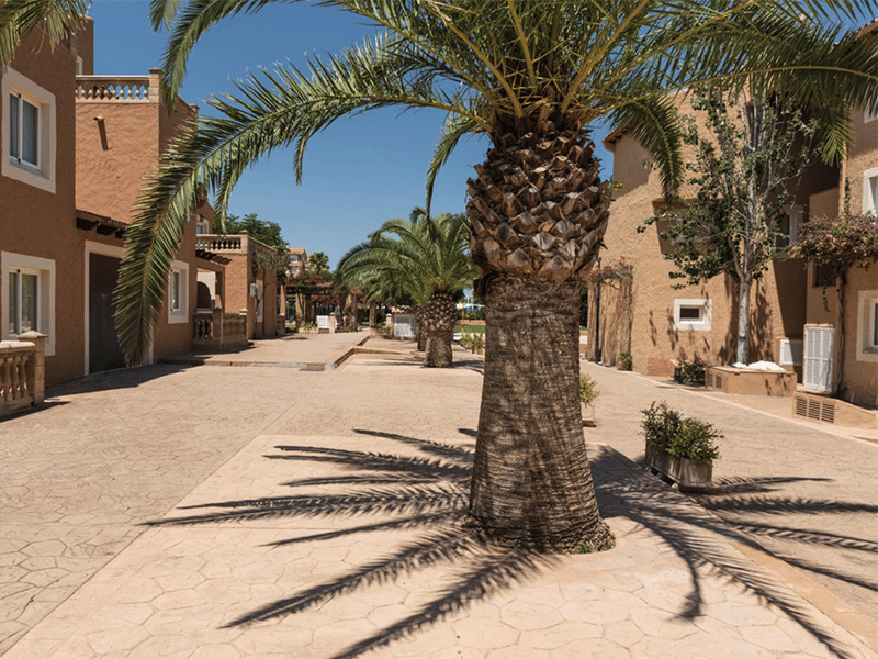 Bildschirmfoto 2026-01-09 um 16.12.24