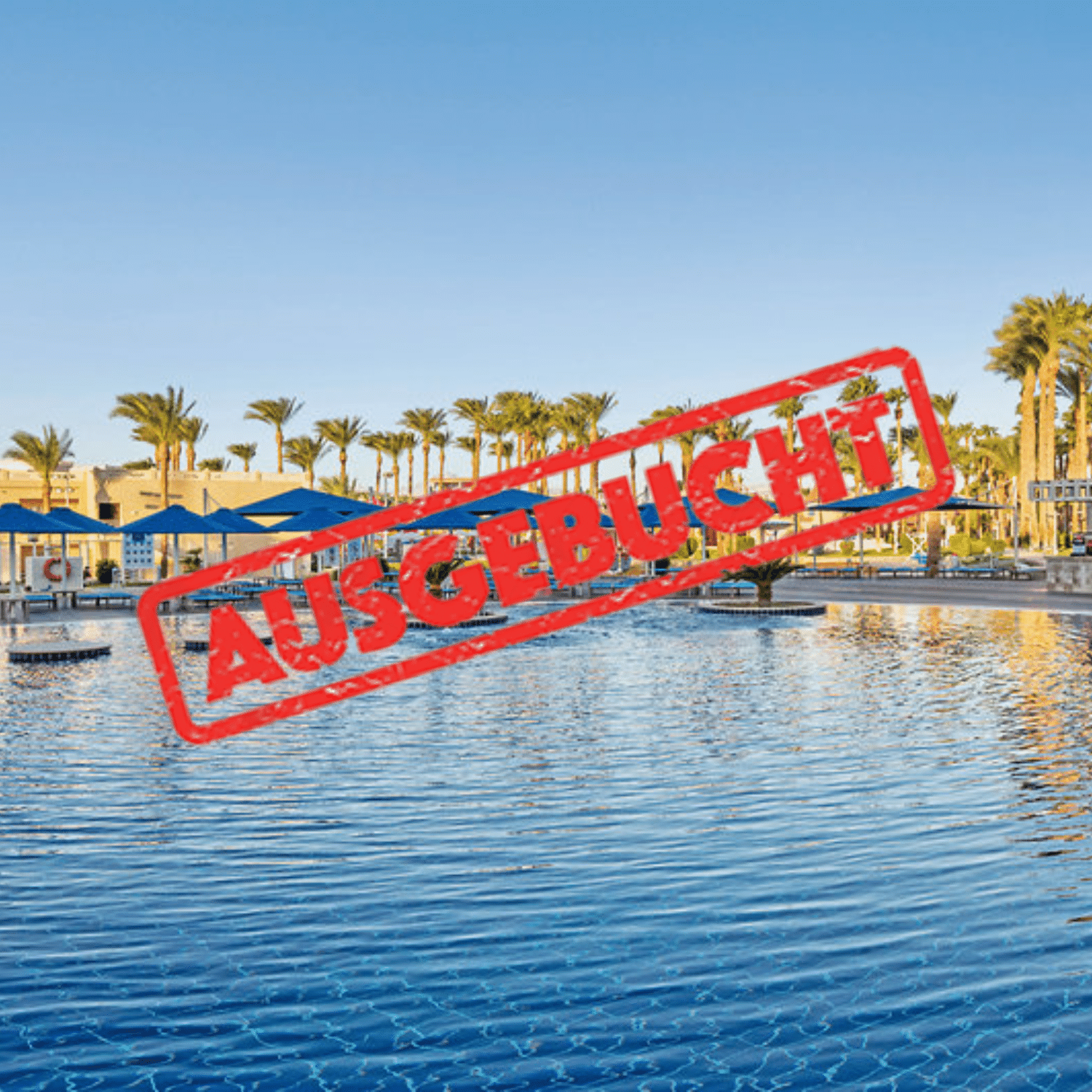 Beach albatros ausgebucht